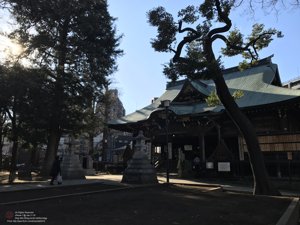 20180111141238_iPhone 7.jpg